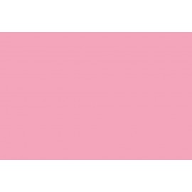 background Paper 1.36 x 11m Pink