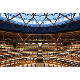 Nikon Zf Mirrorless Camera