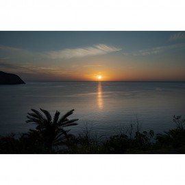 Sigma 28-45mm f/1.8 DG DN Art Lens (Sony E)