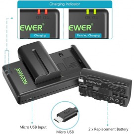 Neewer NP-F550 Battery 2-Pack with Dual USB Charger (2600mAh)