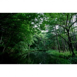 Sigma 20-200mm f/3.5-6.3 DG Contemporary Lens (Sony E)