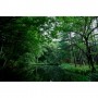 Sigma 20-200mm f/3.5-6.3 DG Contemporary Lens (Sony E)