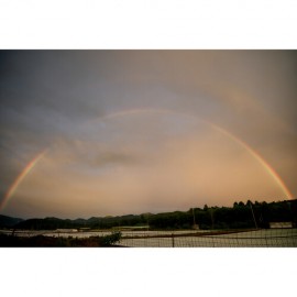 Sigma 20-200mm f/3.5-6.3 DG Contemporary Lens (Sony E)