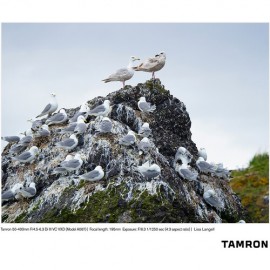 Tamron 50-400mm f/4.5-6.3 Di III VC VXD Lens for Sony E