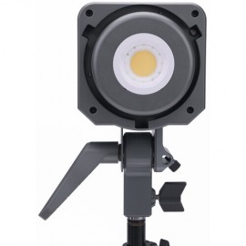 Aputure Amaran COB 100d S Daylight LED Monolight