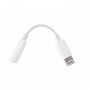 Apple Lightning to 3.5mm Headp