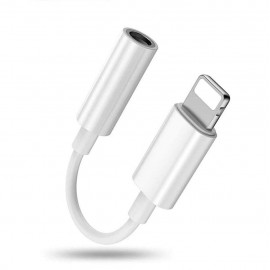 Apple Lightning to 3.5mm Headphone Jack Adapter (MMX62AM/A)