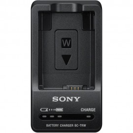 Sony BC-TRW W Series Battery Charger (Black)