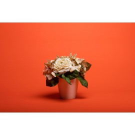 Superior Seamless Bright Orange Background Paper 2.72m Roll #39