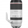 CANON RF 100-500MM F4.5-7.1L I