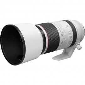 CANON RF 100-500MM F4.5-7.1L IS USM