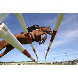 Canon EOS R6 Mark II Mirrorless Camera with 24-105mm f/4-7.1 Lens