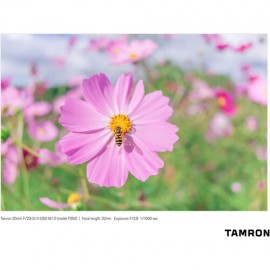 Tamron 20mm f/2.8 Di III OSD M 1:2 Lens for Sony E