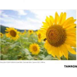 Tamron 20mm f/2.8 Di III OSD M 1:2 Lens for Sony E