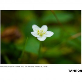 Tamron 35mm f/2.8 Di III OSD M 1:2 Lens for Sony E