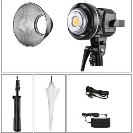 GVM LS-P80S1 Daylight LED Light Kit with Umbrella