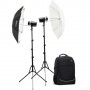 Godox AD300pro Outdoor 2-Flash