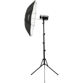 Godox AD300pro Outdoor 2-Flash Kit