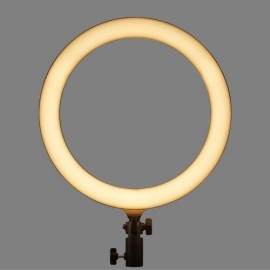 Godox LR120 Bi-Color LED Ring Light (12", Black)