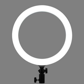 Godox LR120 Bi-Color LED Ring Light (12", Black)