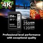 Lexar 256GB Professional 1667x