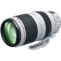 Canon EF 100-400mm f/4.5-5.6L 