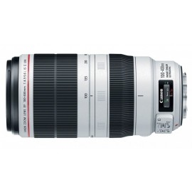 Canon EF 100-400mm f/4.5-5.6L IS II USM Lens