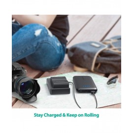 RAVPower NP FZ100 Replacement Battery Charger Set