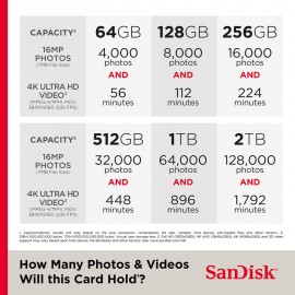 SanDisk 256GB Extreme UHS-I microSDXC Memory Card