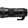 Sigma 150-600mm F/5-6.3 DG OS 
