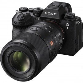 Sony FE 100mm f/2.8 Macro GM Lens (Sony E)