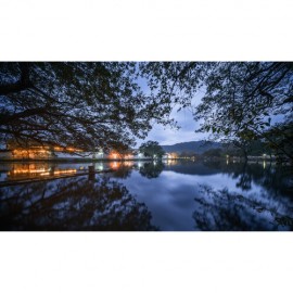 Venus Laowa 10mm f/2.8 Zero-D FF Manual Focus Lens (Canon RF)