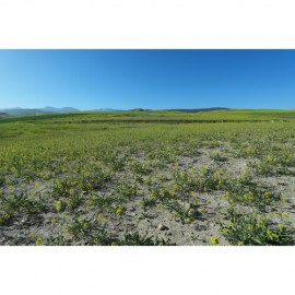 Sony ZV-E10 II Mirrorless Camera (Black)