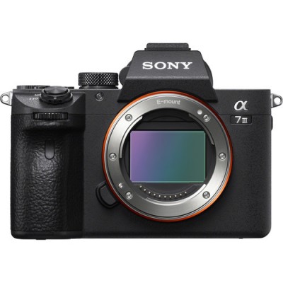Sony Alpha A7 III Mirrorless Digital Camera (Body Only)