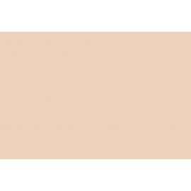 background Paper 1.36 x 11m beige