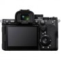 Sony Alpha a7R V Mirrorless Digital Camera (Body Only)