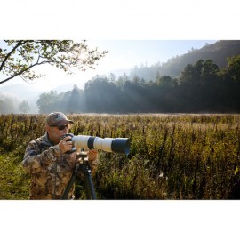 Canon RF 200-800mm f/6.3-9 IS USM Lens