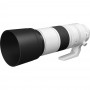 Canon RF 200-800mm f/6.3-9 IS 
