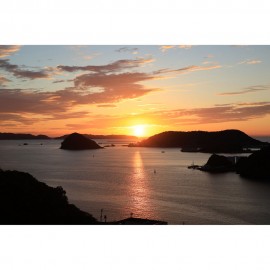 Canon RF 24-50mm f/4.5-6.3 IS STM Lens (Canon RF)