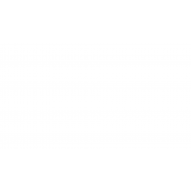 Canon EOS R6 Mark II Mirrorless Camera